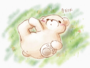 minmi Little Bear – 6 –